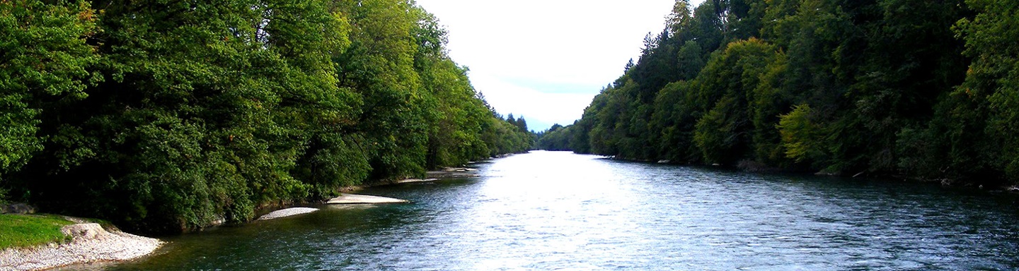Der von grünen Wäldern eingerahmte Flusslauf der Aare zwischen Thun und Bern.