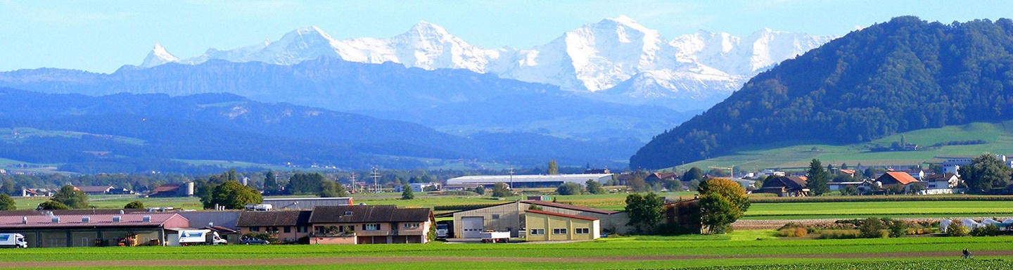 Imposante, schneebedeckte Alpengipfel überragen die sattgrüne Aare-Ebene.