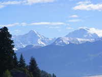 Idyllisches Panorama mit grünen Tannen und weißen Berggipfeln