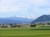 Schneebedeckte Alpengipfel überragen das tiefgrüne Schwemmland der Aare